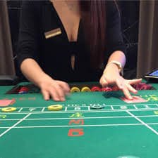 Platform gamecube dengan meja live-dealer dan antarmuka sportsbook